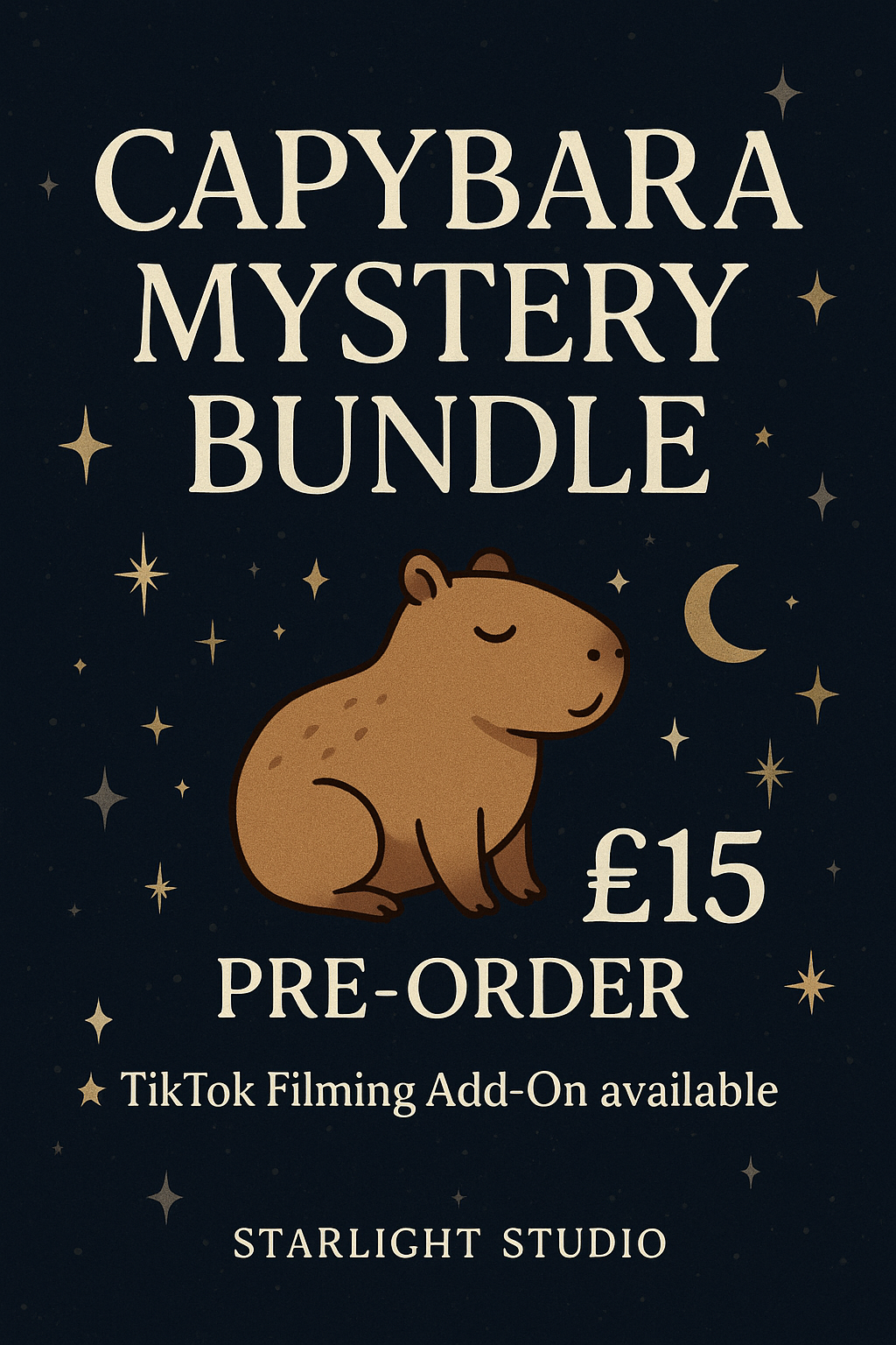 Capybara Mystery Bundle 🦫✨ (Pre Order)